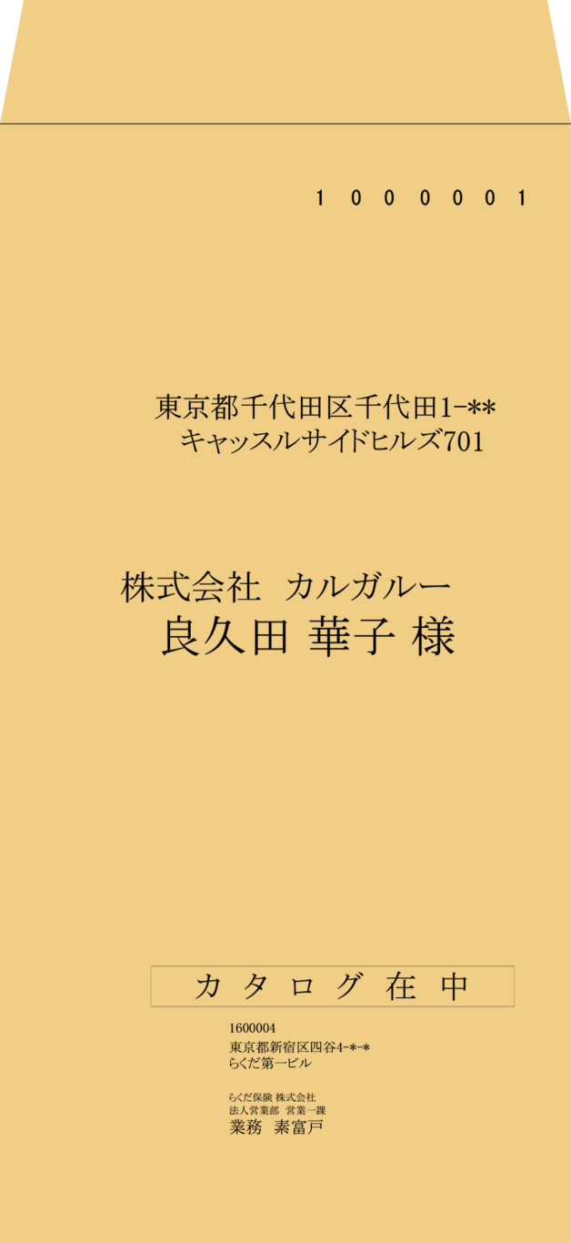 印刷見本 かるがるできる顧客 Bslシステム研究所