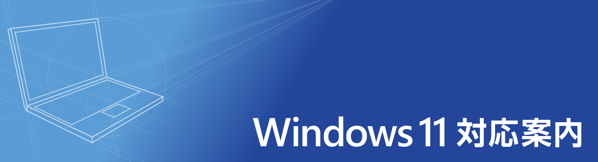 tit_win11_info-203